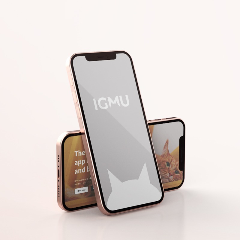 mock up visitkort igmu igmu visuel identitet