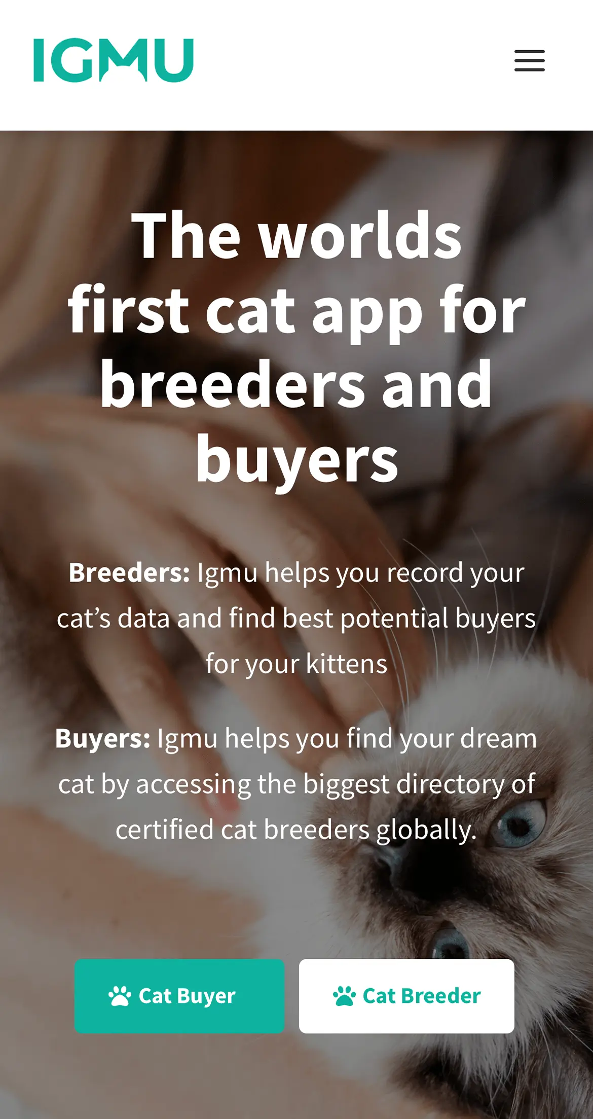 cat1-1-min IGMU Mobil hjemmeside design