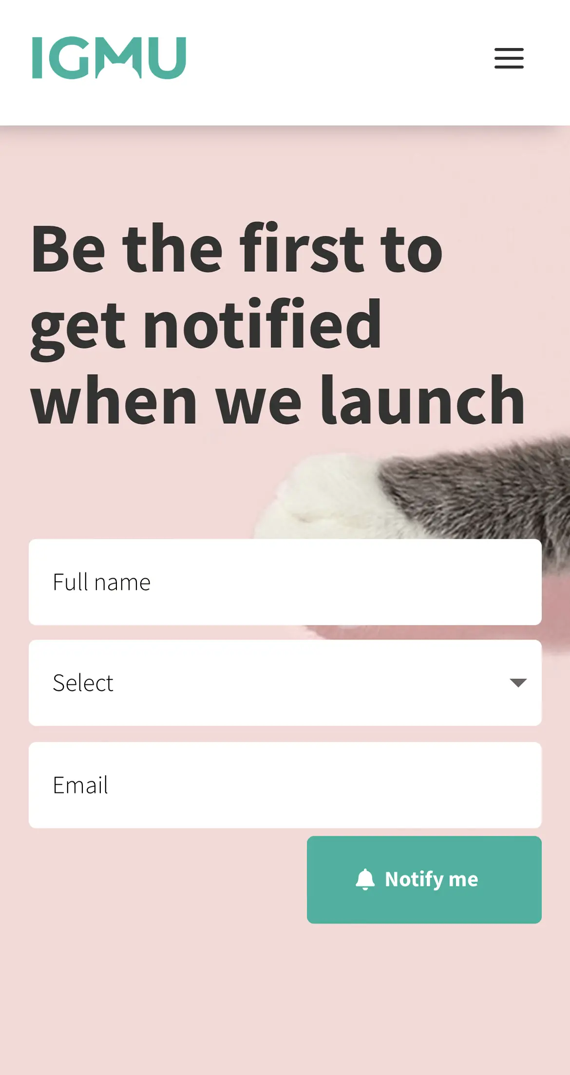 cat3-1 IGMU hjemmesidedesign